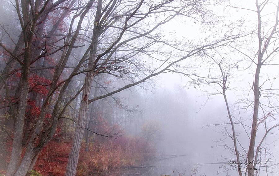 Autumn Fog Photograph by Mary Walchuck