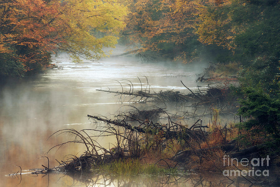 Autumn Fog on Gauley River Photograph by Thomas R Fletcher