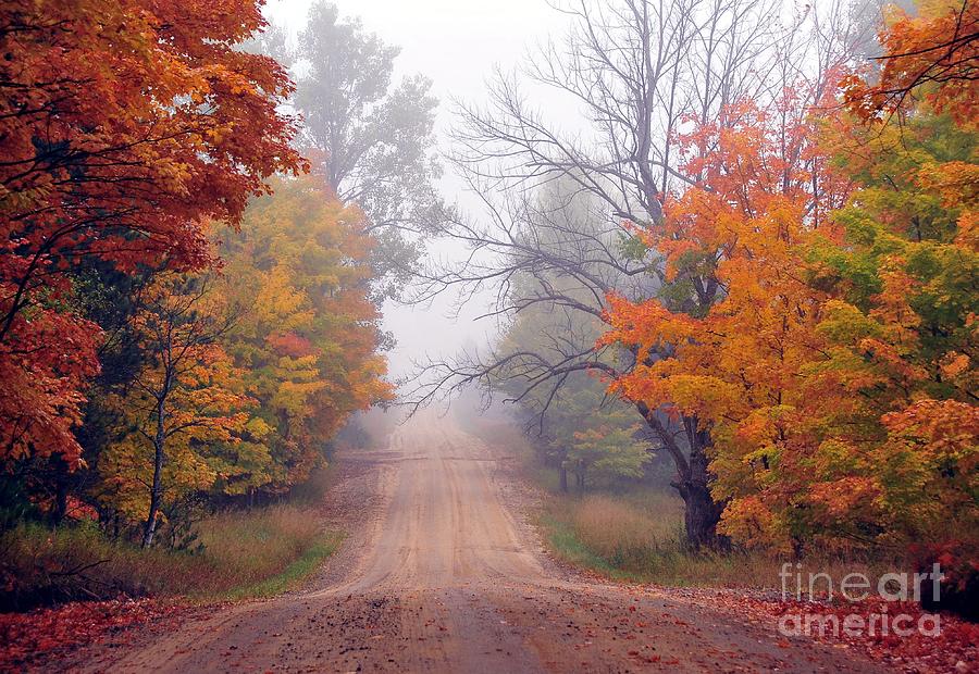 Fall Photograph - Autumn Fog by Terri Gostola
