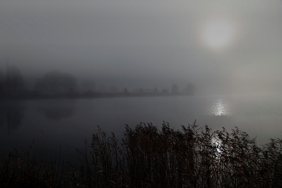 Nature Photograph - Autumn Foggy Morning... by Aleksandrs Drozdovs