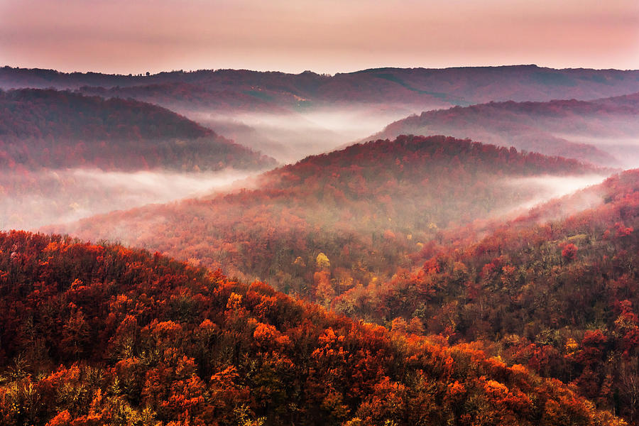 Autumn Fogs Photograph by Evgeni Dinev
