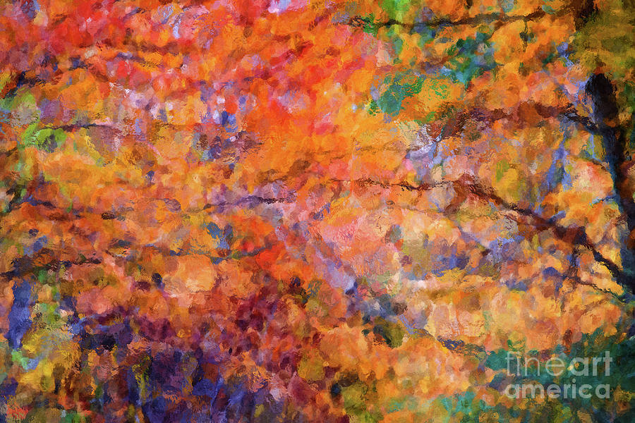Autumn Foliage Abstract Photograph by Anita Pollak