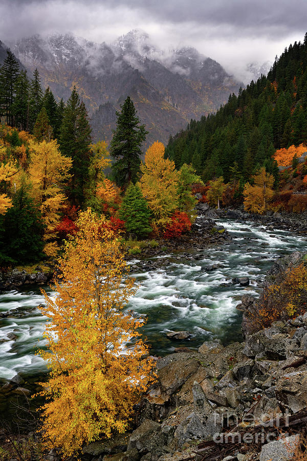 Autumn Foliage and Winter Snow along Wenatchee River near Leavenworth Photograph by Tom Schwabel
