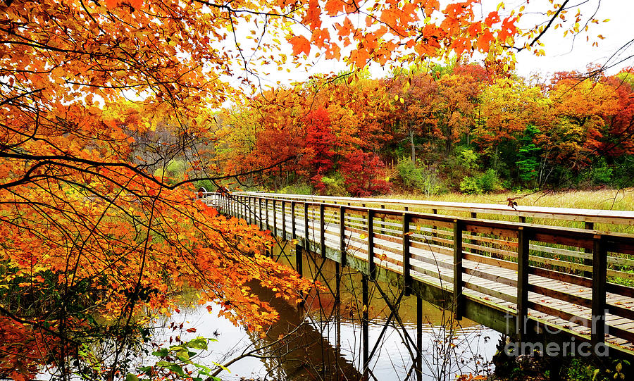 Autumn Foliage Colors Over Footbridge Photograph by Charline Xia