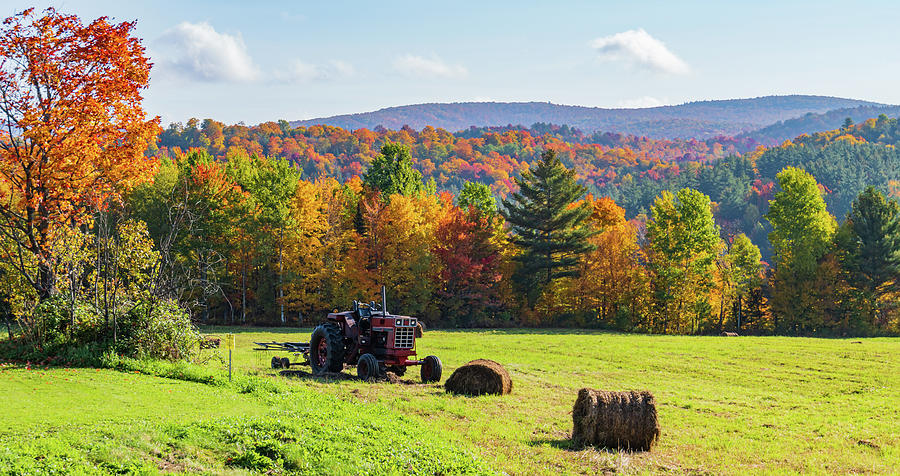 Autumn Foliage in Vermont on a farm Photograph by Ann Moore