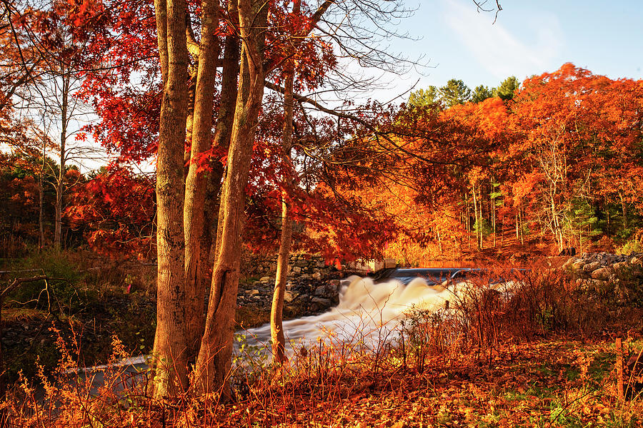 Autumn Foliage on Stearns Millpond in Sudbury MA Waterfall red Photograph by Toby McGuire