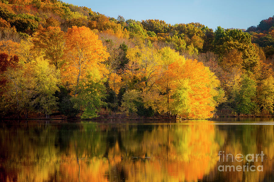 Autumn Foliage - Radnor Lake - Nashville Tennessee II Photograph by Brian Jannsen