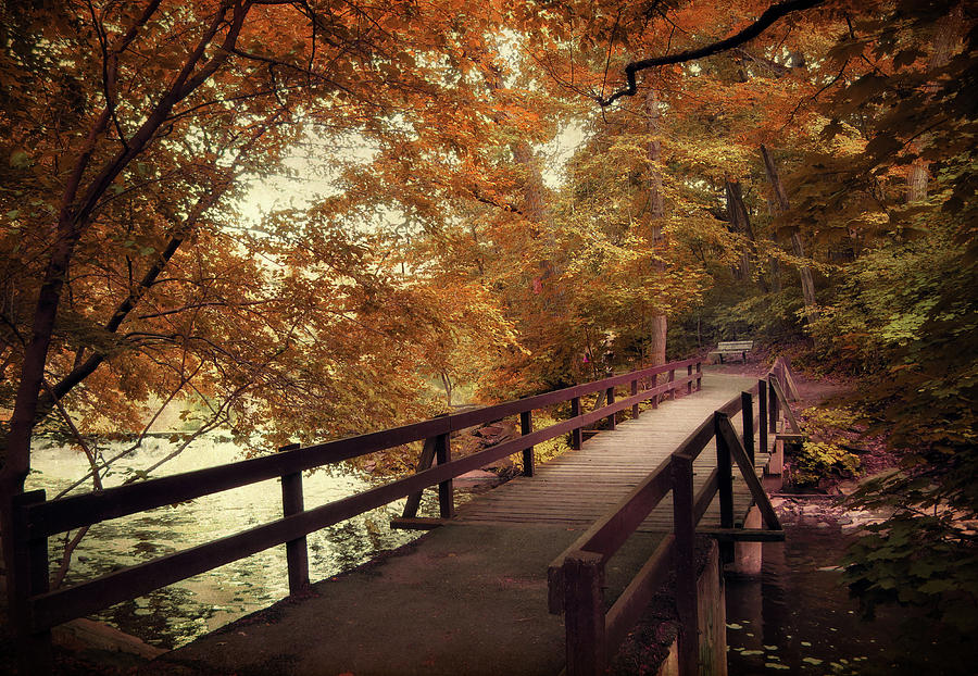 Nature Photograph - Autumn Footbridge by Jessica Jenney
