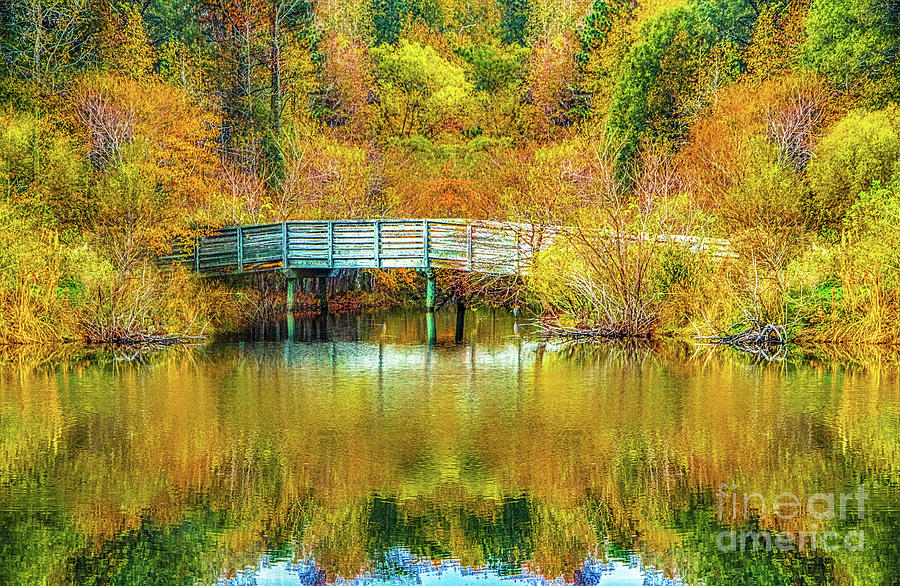 Autumn Photograph - Autumn Footbridge View by Robert Anastasi