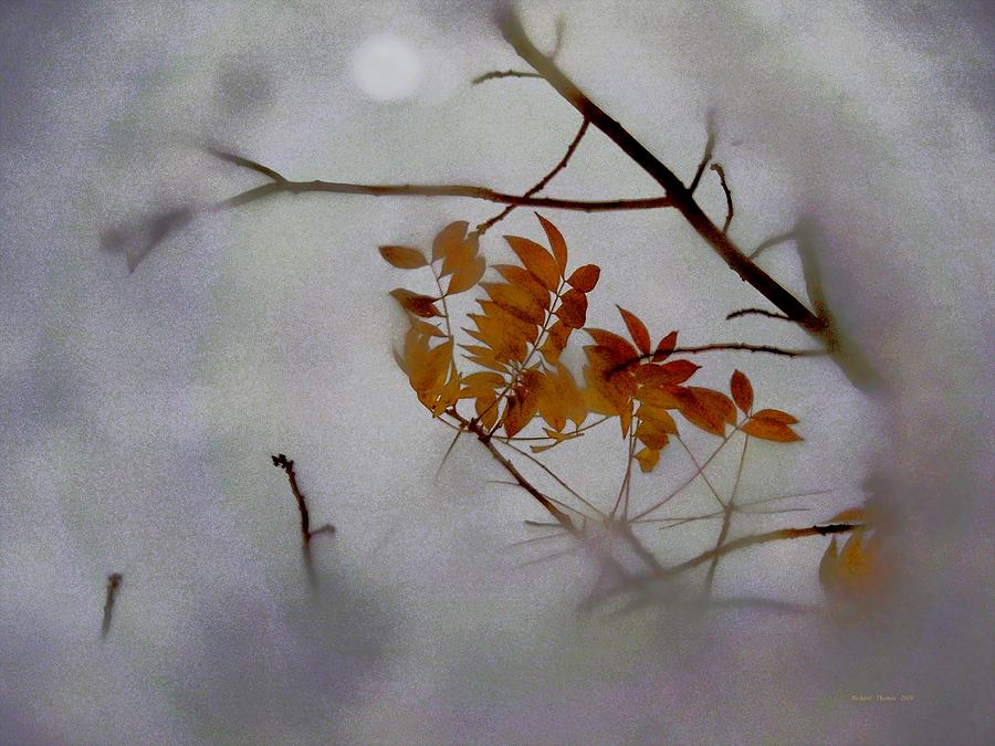 Autumn Footprint Photograph