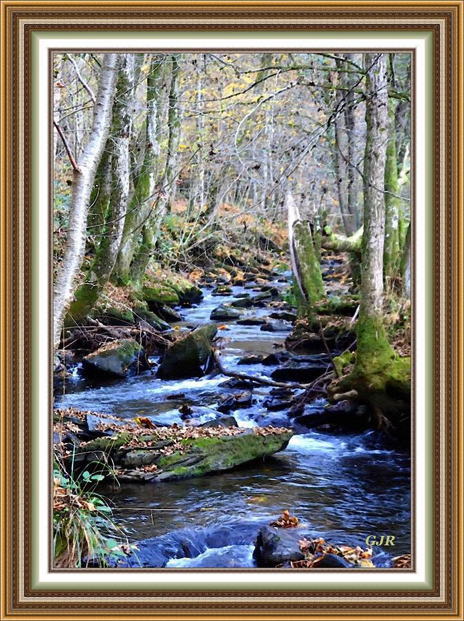 Autumn Forest Creek - Winterton Park L A S - With Printed Frame. Digital Art