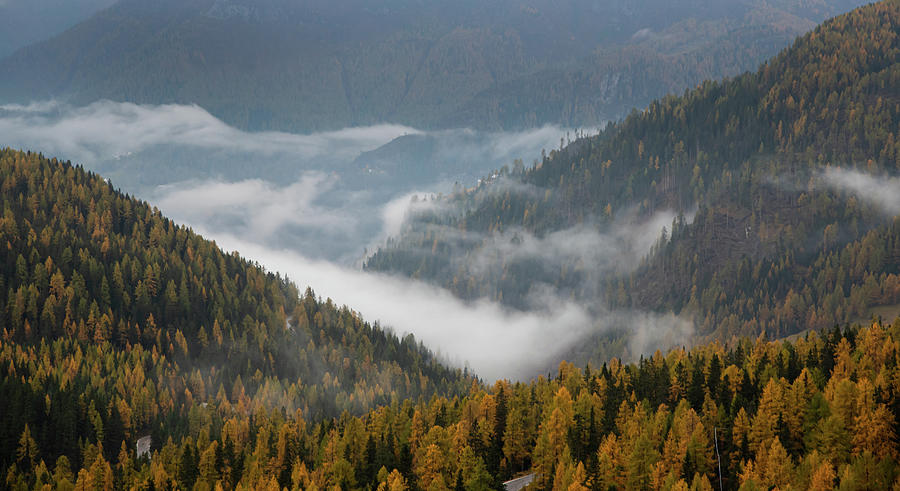 Autumn forest landscape at the dolomites south tyrol in the Italian apls Photograph by Michalakis Ppalis
