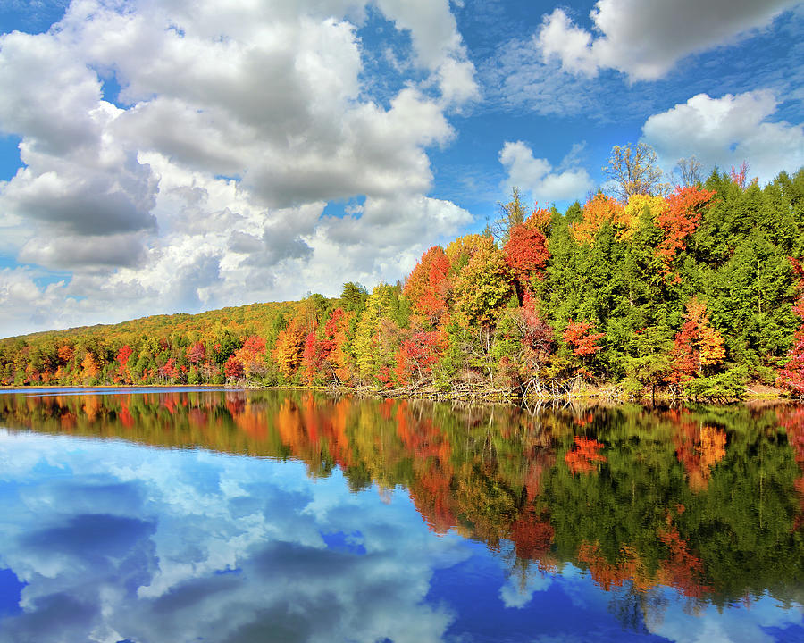 Warm Reflections of Autumn Photograph by David Carillet - Fine Art America