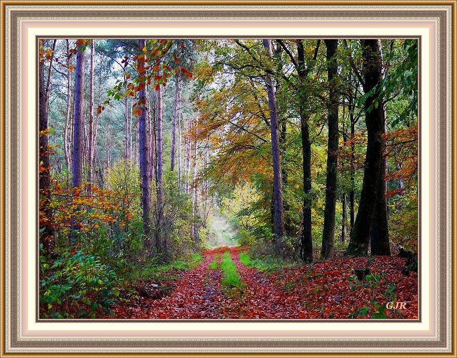 Autumn Forest Path - Winterton  Park 2 L A S With Printed Frame Digital Art