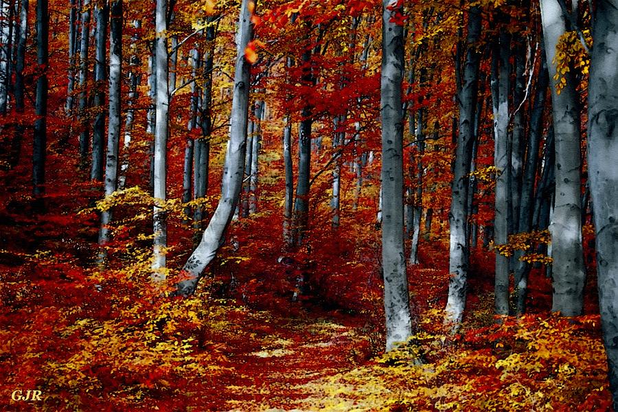 Autumn Forest Path - Winterton Park L A S Digital Art