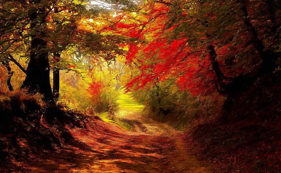 Autumn Forest Trail Digital Art by Jerzy Czyz - Fine Art America