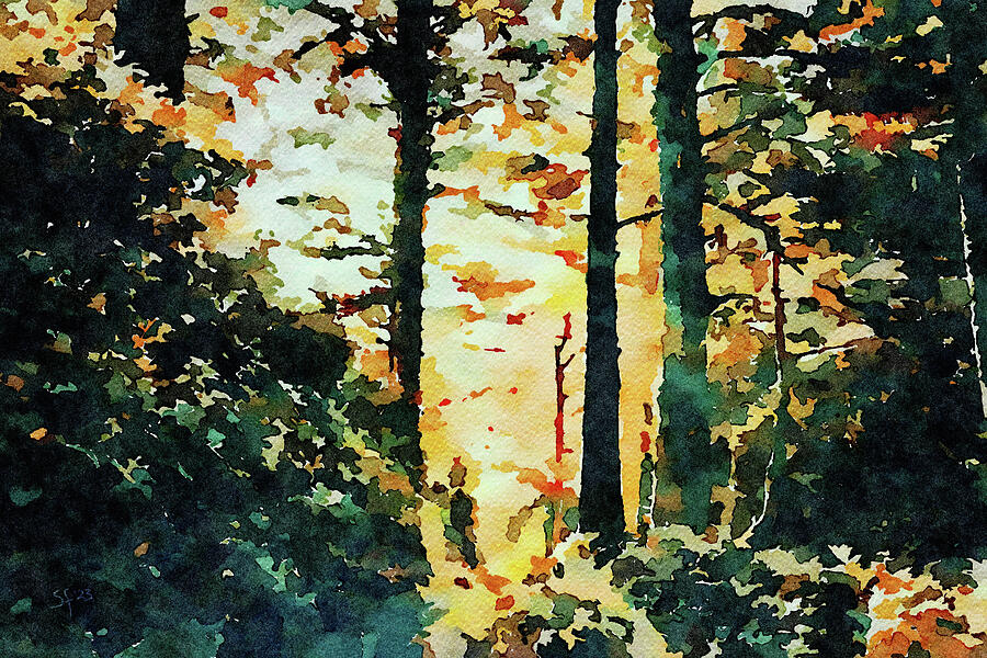 Autumn Forest Watercolor  Mixed Media by Shelli Fitzpatrick