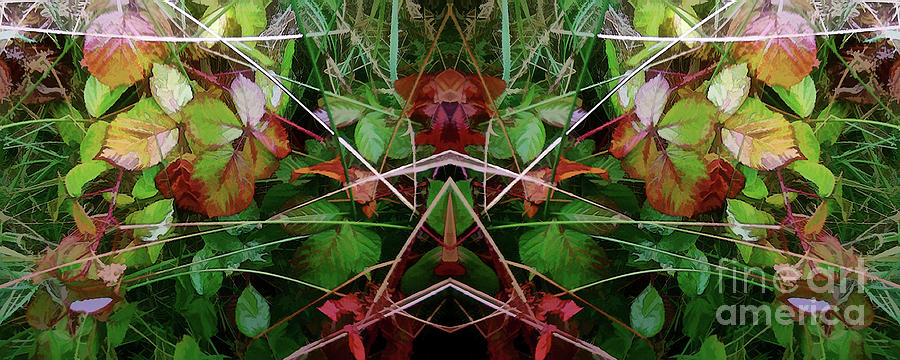 Autumn Symmetry - Cycle 33 Digital Art by David Hargreaves