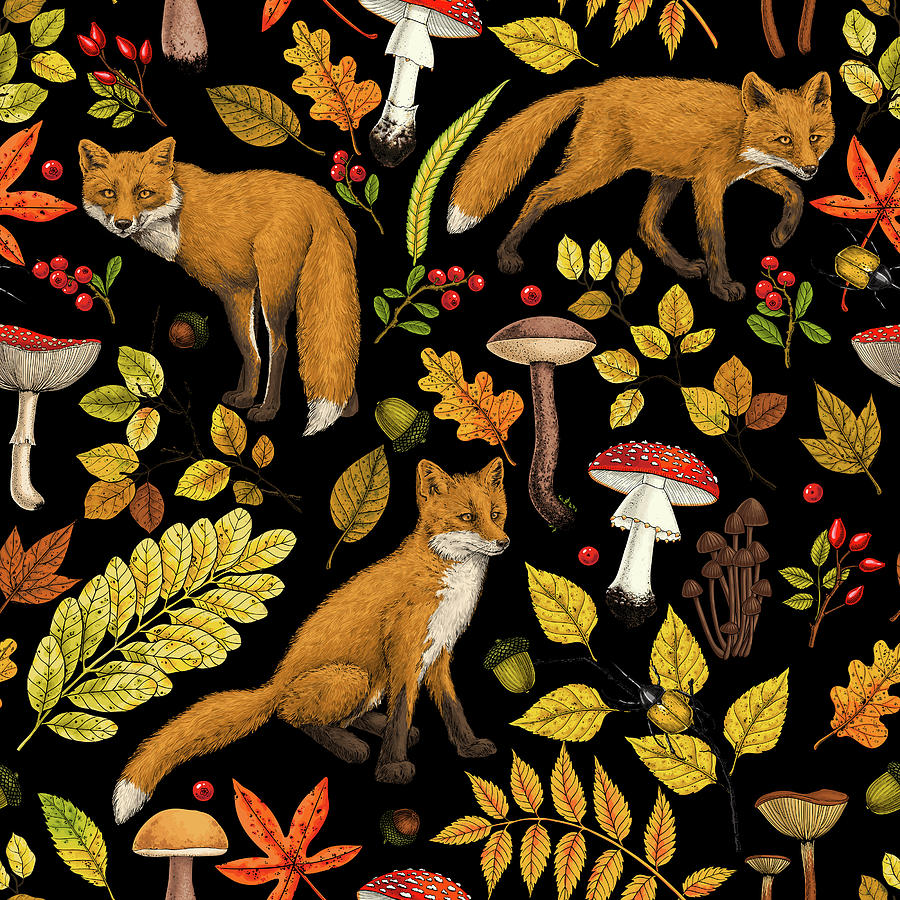 Autumn foxes on black Digital Art by Katerina Kirilova - Fine Art America