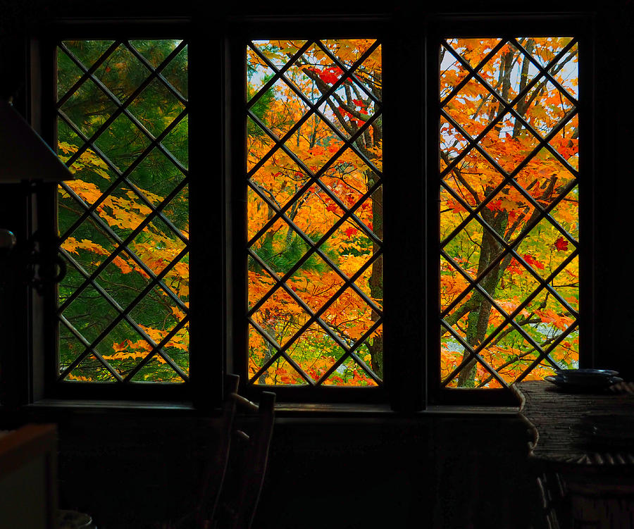 Autumn from Inside  Photograph by Judy Cuddehe