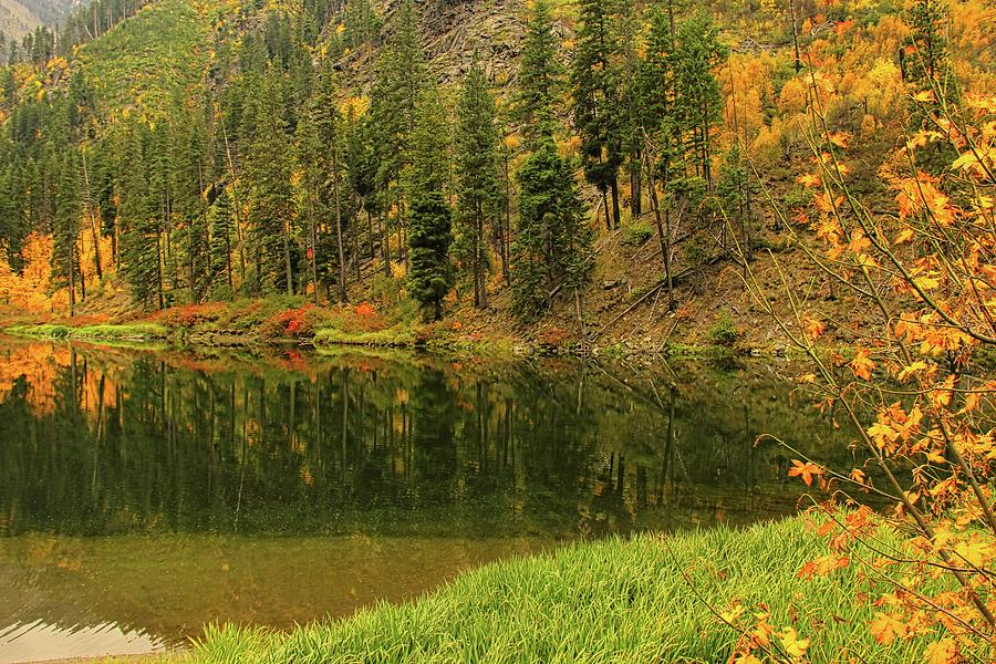 Autumn glass Photograph by Vernon Platt - Fine Art America