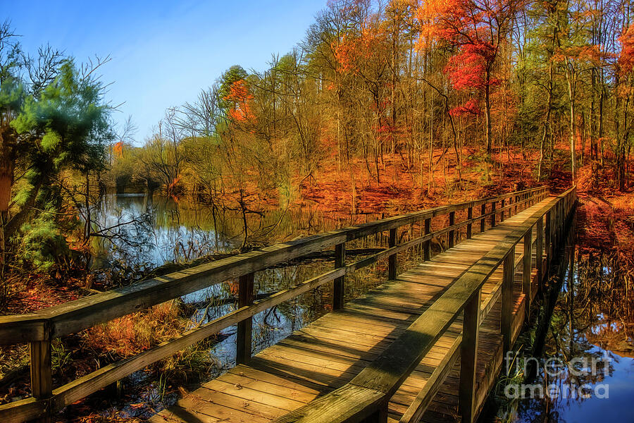 Autumn Glory at Bays Mountain Photograph by Shelia Hunt