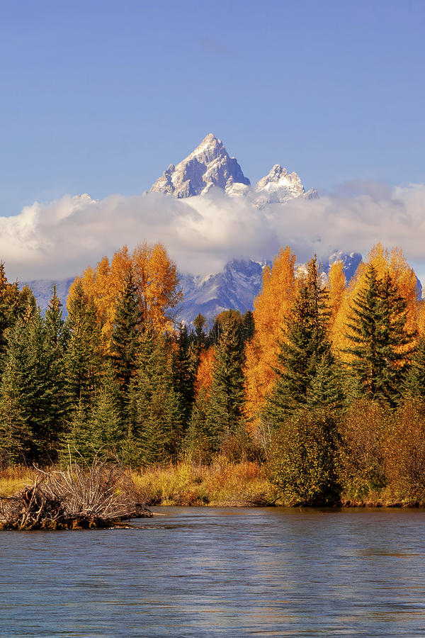 Autumn Glory at Grand Teton Photograph by Jack Bell