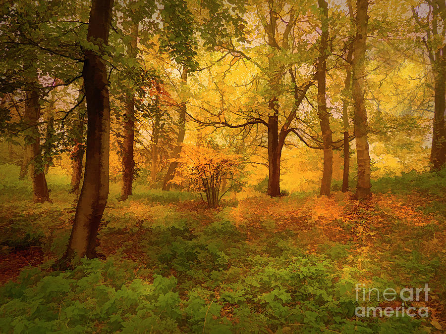 Autumn Glory Digital Art by Brian Tarr