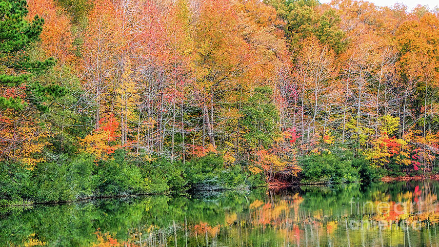 Autumn Glory Photograph by Robert Anastasi