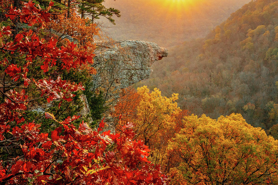 Fall Photograph - Autumn Glow - Whitaker Point / Hawksbill Crag, Arkansas by Jeff Rose