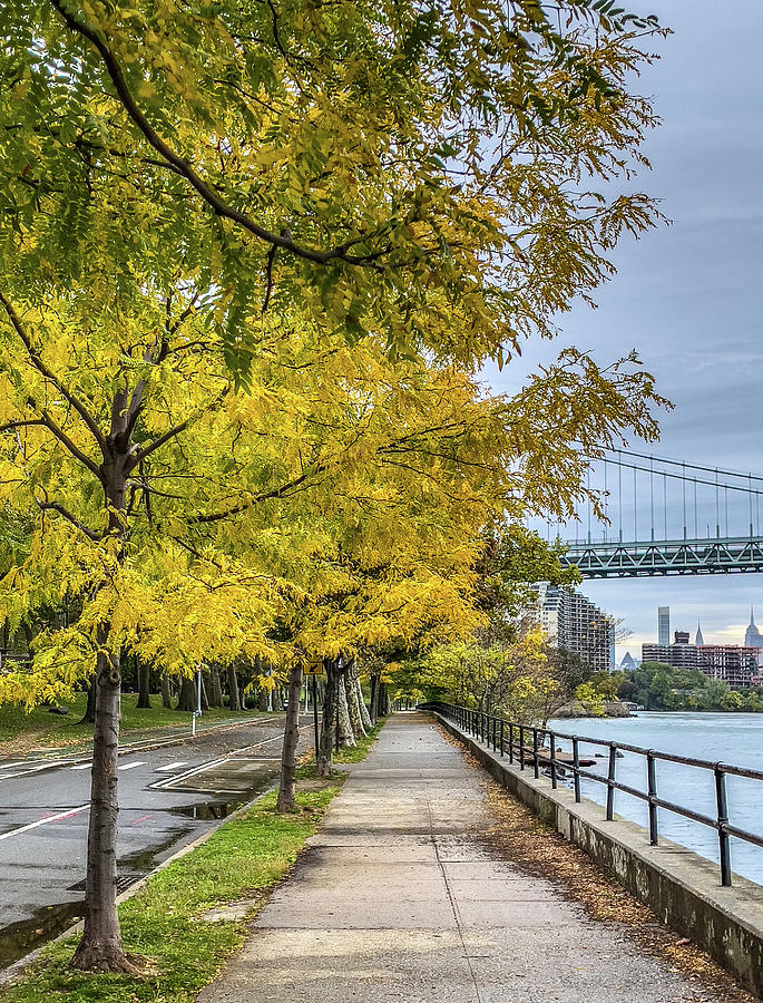 Autumn Gold Astoria Park Photograph by Cate Franklyn