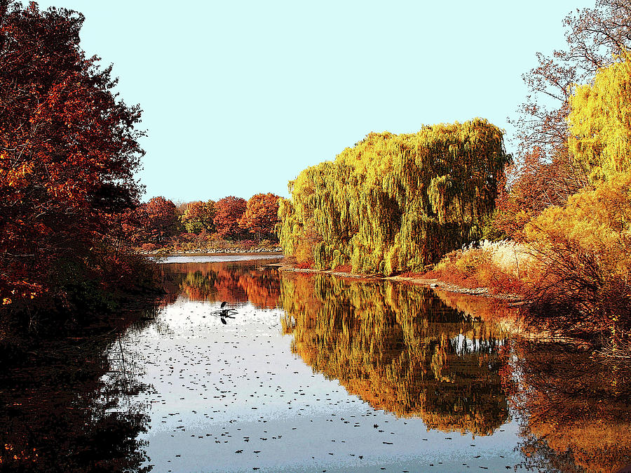 Nature Photograph - Autumn Gold by Linda Joyce Ott
