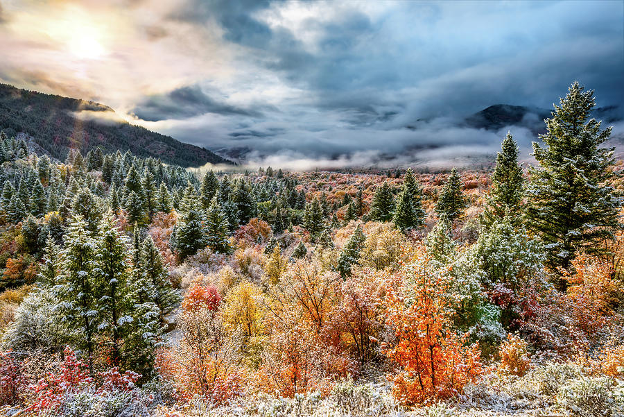 Autumn Grandeur Idaho Photograph by Leland D Howard