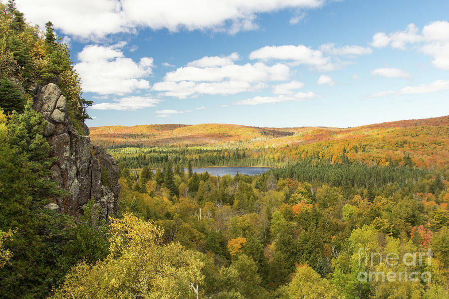 Autumn Grandeur Photograph by Dawn LaPointe - Fine Art America