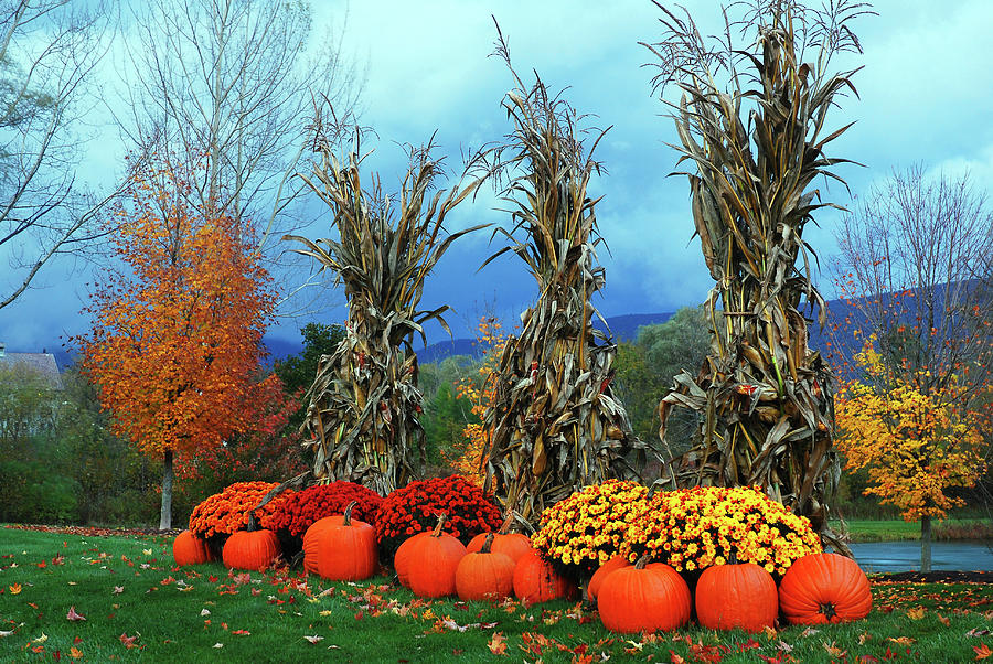 Fall Photograph - Autumn Harvest Bounty by James Kirkikis