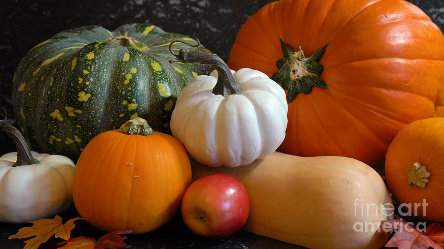 Autumn harvest, diverse assortment of pumpkins on a black marble table counter. Photograph by Milleflore Images