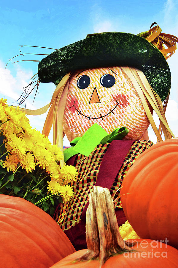 Autumn Harvest Doll and Pumpkins Photograph by Regina Geoghan