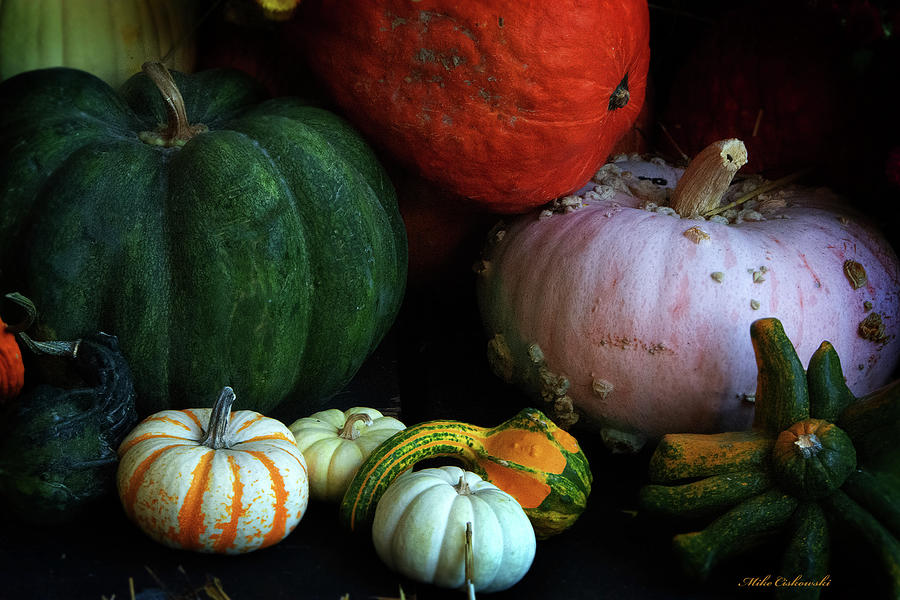Autumn Harvest Photograph by Michael Ciskowski