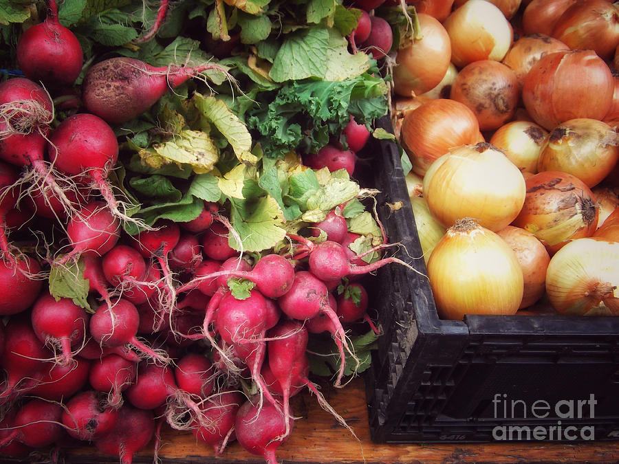 Autumn Harvest - Radishes and Onions Photograph by Miriam Danar