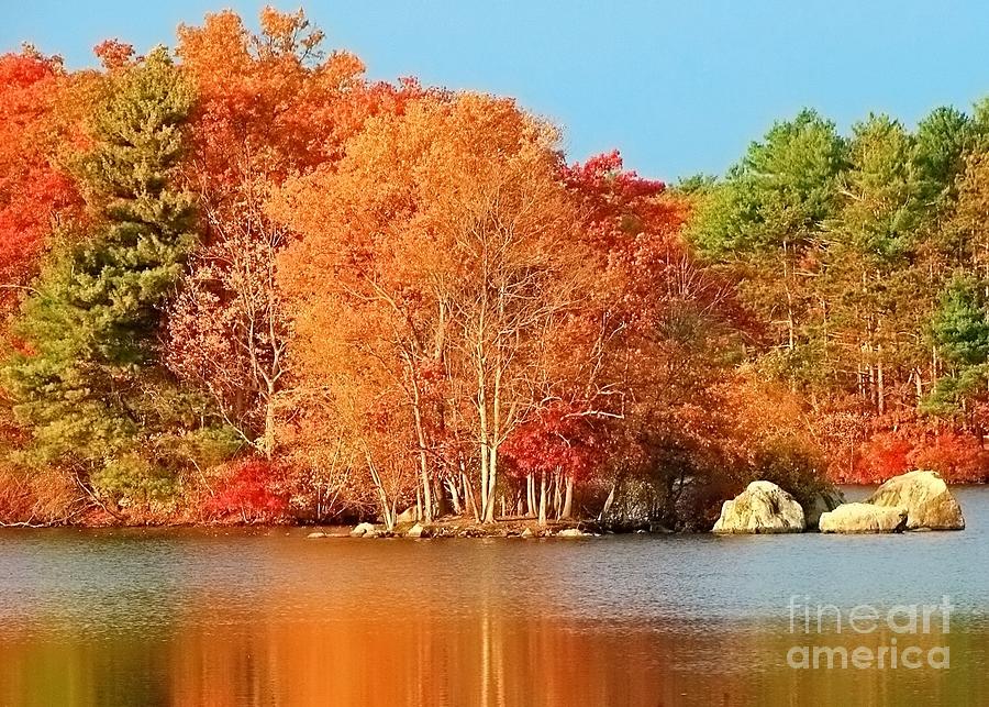 Autumn Has Fallen Photograph by Lori Lafargue