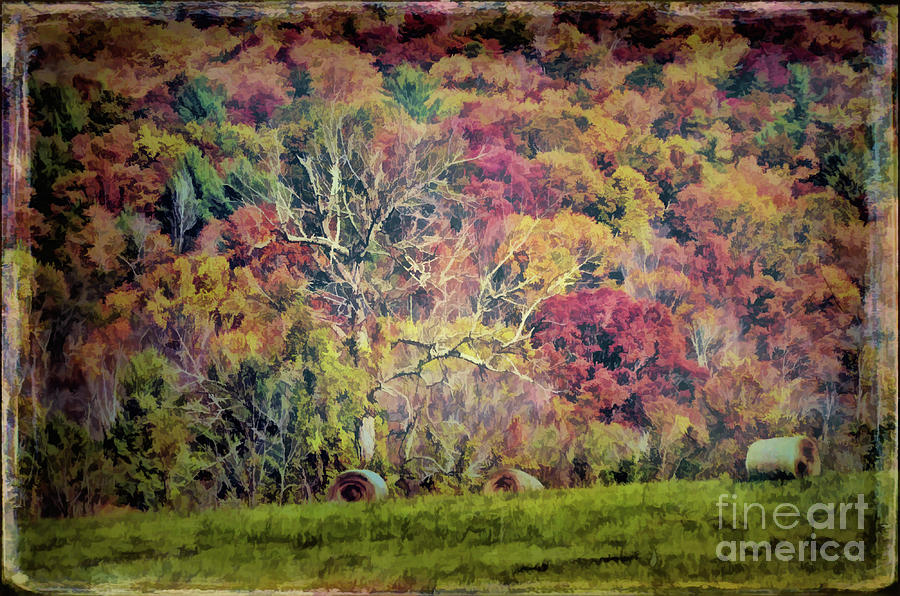 Autumn Hayfield Photograph by Kerri Farley