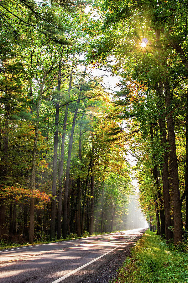 Autumn Highway to the Sun Photograph by Dan Carmichael
