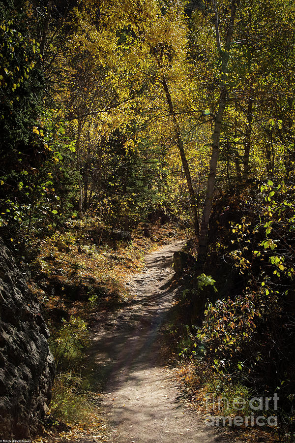 Autumn Hike Photograph