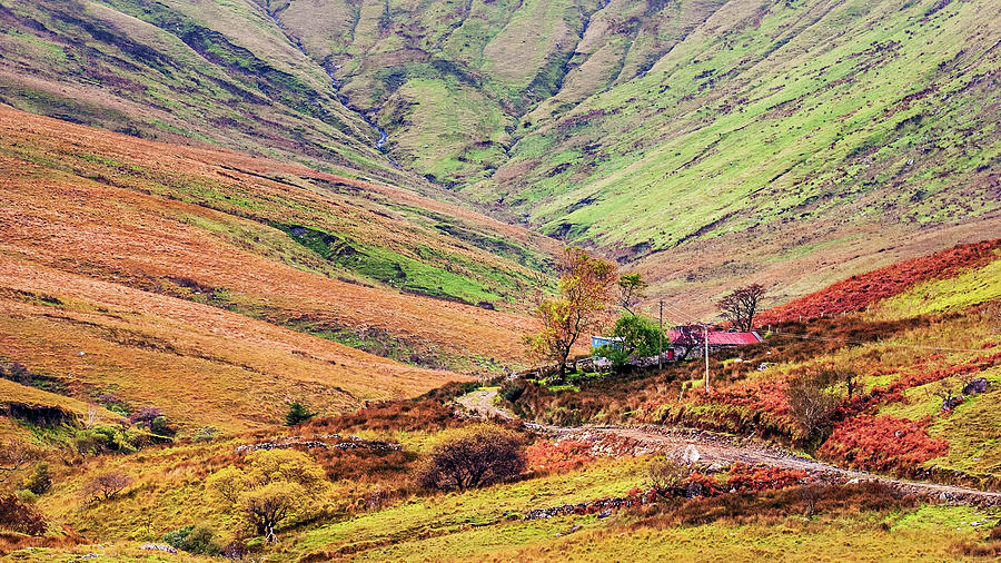 Autumn hillside cottage Ireland Photograph by Pierre Leclerc Photography