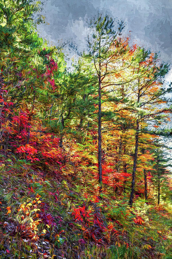 Autumn Hillside Filled with Color ap Photograph by Dan Carmichael