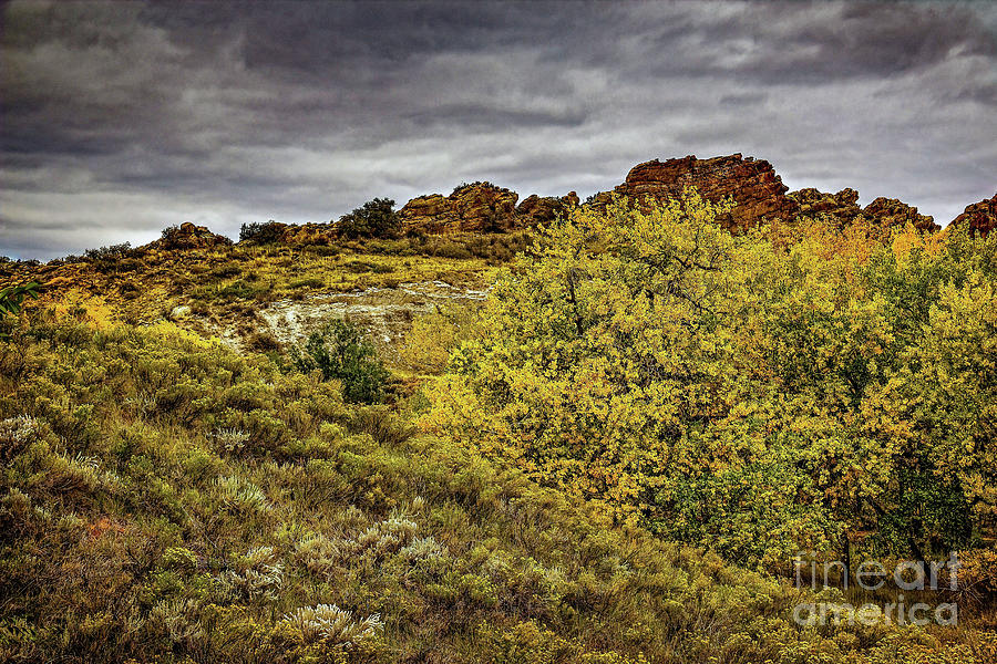Autumn Hillside Photograph by Jon Burch Photography
