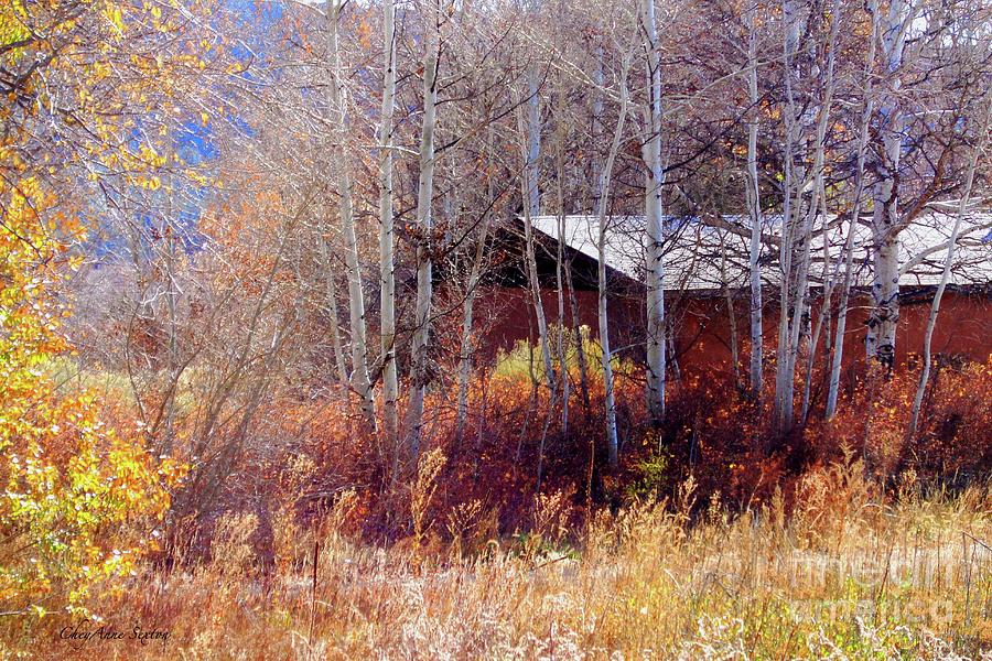 Autumn Home In Aspens By Cheyanne Sexton Photograph
