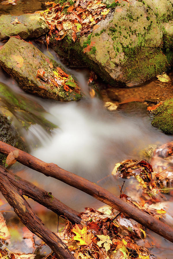 Autumn Icy Waters fx Photograph by Dan Carmichael