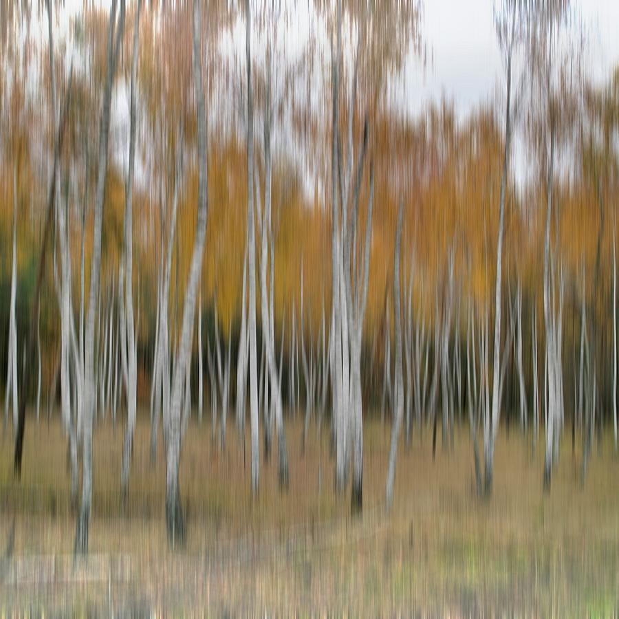 Autumn Illusion Photograph by Andrii Maykovskyi