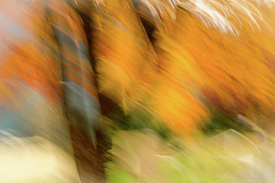 Autumn Impression 1 Photograph by Ursula Abresch